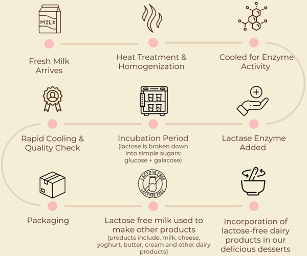 A flowchart illustrating the making process of NewMoo's desserts